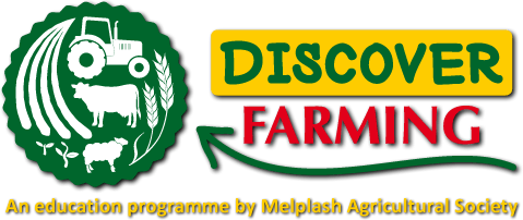Discover Farming
